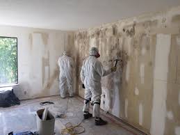 Best Mold Remediation for Healthcare Facilities  in Inglis, FL